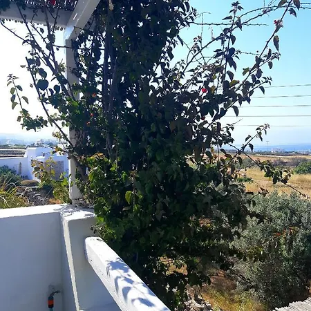 Apartment Sofi In Saint George Andiparos